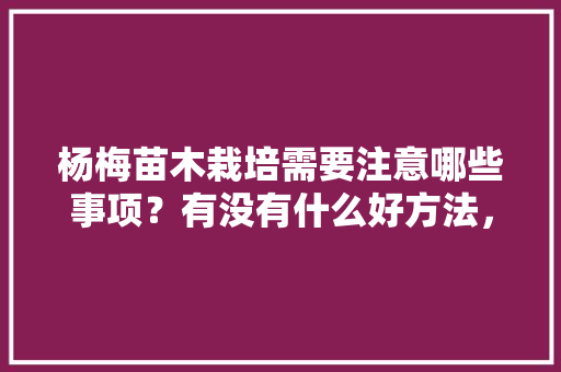 杨梅苗木栽培需要注意哪些事项？有没有什么好方法，杨梅的种植水果有哪些。 杨梅苗木栽培需要注意哪些事项？有没有什么好方法，杨梅的种植水果有哪些。 畜牧养殖