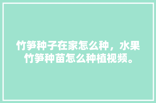 竹笋种子在家怎么种，水果竹笋种苗怎么种植视频。 竹笋种子在家怎么种，水果竹笋种苗怎么种植视频。 蔬菜种植