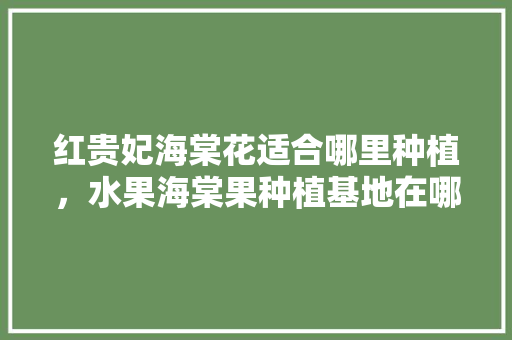 红贵妃海棠花适合哪里种植，水果海棠果种植基地在哪里。 红贵妃海棠花适合哪里种植，水果海棠果种植基地在哪里。 土壤施肥