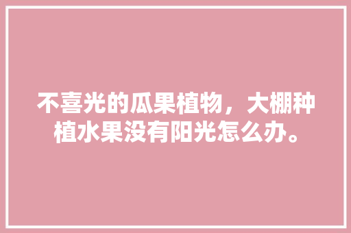 不喜光的瓜果植物，大棚种植水果没有阳光怎么办。 不喜光的瓜果植物，大棚种植水果没有阳光怎么办。 畜牧养殖