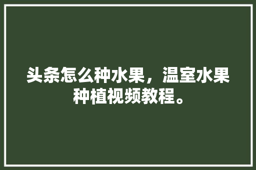 头条怎么种水果，温室水果种植视频教程。 头条怎么种水果，温室水果种植视频教程。 蔬菜种植