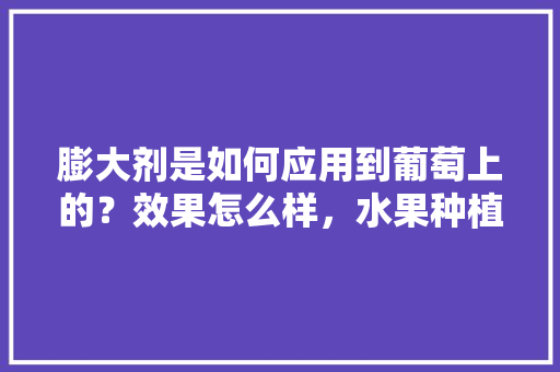 膨大剂是如何应用到葡萄上的？效果怎么样，水果种植喷洒激素原理是什么。 膨大剂是如何应用到葡萄上的？效果怎么样，水果种植喷洒激素原理是什么。 水果种植