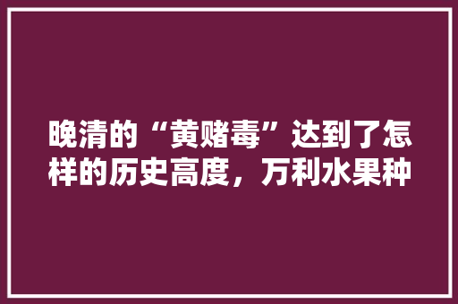 晚清的“黄赌毒”达到了怎样的历史高度，万利水果种植前景如何。 晚清的“黄赌毒”达到了怎样的历史高度，万利水果种植前景如何。 蔬菜种植