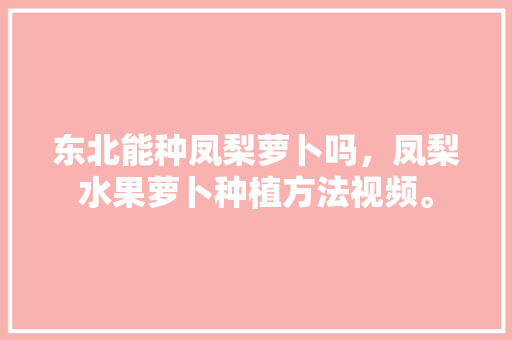 东北能种凤梨萝卜吗，凤梨水果萝卜种植方法视频。 东北能种凤梨萝卜吗，凤梨水果萝卜种植方法视频。 蔬菜种植