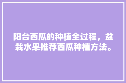 阳台西瓜的种植全过程，盆栽水果推荐西瓜种植方法。 阳台西瓜的种植全过程，盆栽水果推荐西瓜种植方法。 水果种植