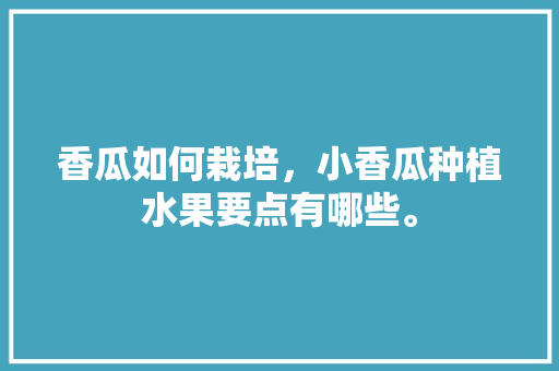 香瓜如何栽培，小香瓜种植水果要点有哪些。 香瓜如何栽培，小香瓜种植水果要点有哪些。 水果种植