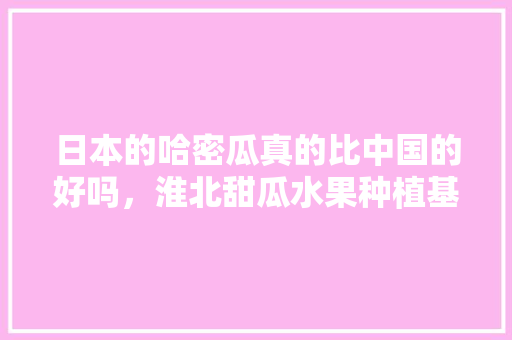 日本的哈密瓜真的比中国的好吗，淮北甜瓜水果种植基地在哪里。 日本的哈密瓜真的比中国的好吗，淮北甜瓜水果种植基地在哪里。 畜牧养殖