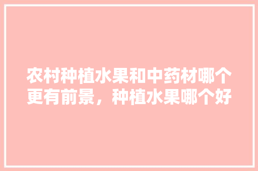 农村种植水果和中药材哪个更有前景，种植水果哪个好卖些呢。 农村种植水果和中药材哪个更有前景，种植水果哪个好卖些呢。 水果种植