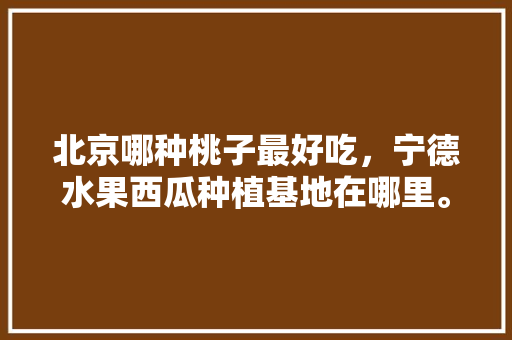 北京哪种桃子最好吃，宁德水果西瓜种植基地在哪里。 北京哪种桃子最好吃，宁德水果西瓜种植基地在哪里。 水果种植