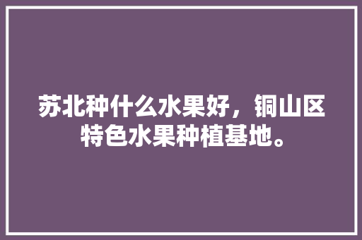 苏北种什么水果好，铜山区特色水果种植基地。 苏北种什么水果好，铜山区特色水果种植基地。 水果种植