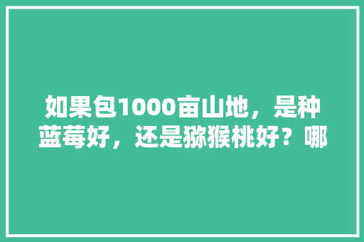 如果包1000亩山地，是种蓝莓好，还是猕猴桃好？哪种效益和种植简单点，水果种植哪个收益最好赚钱。 如果包1000亩山地，是种蓝莓好，还是猕猴桃好？哪种效益和种植简单点，水果种植哪个收益最好赚钱。 水果种植