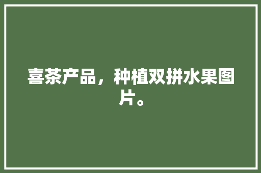 喜茶产品，种植双拼水果图片。 喜茶产品，种植双拼水果图片。 蔬菜种植