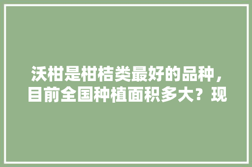 沃柑是柑桔类最好的品种，目前全国种植面积多大？现在还能种吗，云南冰川水果甘平种植条件。 沃柑是柑桔类最好的品种，目前全国种植面积多大？现在还能种吗，云南冰川水果甘平种植条件。 土壤施肥