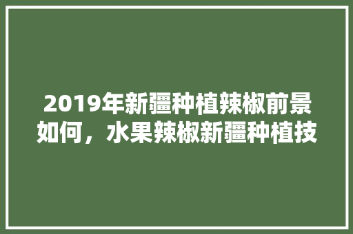 2019年新疆种植辣椒前景如何，水果辣椒新疆种植技术与管理。 2019年新疆种植辣椒前景如何，水果辣椒新疆种植技术与管理。 家禽养殖