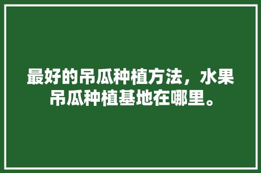 最好的吊瓜种植方法，水果吊瓜种植基地在哪里。 最好的吊瓜种植方法，水果吊瓜种植基地在哪里。 水果种植