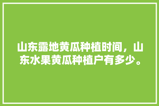 山东露地黄瓜种植时间，山东水果黄瓜种植户有多少。 山东露地黄瓜种植时间，山东水果黄瓜种植户有多少。 土壤施肥