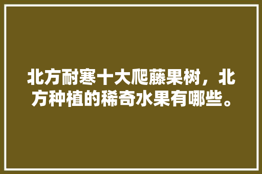 北方耐寒十大爬藤果树，北方种植的稀奇水果有哪些。 北方耐寒十大爬藤果树，北方种植的稀奇水果有哪些。 水果种植