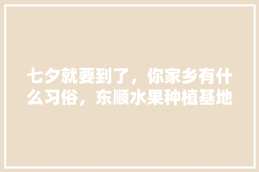 七夕就要到了，你家乡有什么习俗，东顺水果种植基地地址。 七夕就要到了，你家乡有什么习俗，东顺水果种植基地地址。 蔬菜种植