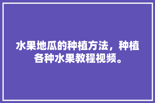 水果地瓜的种植方法，种植各种水果教程视频。 水果地瓜的种植方法，种植各种水果教程视频。 畜牧养殖