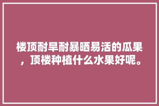 楼顶耐旱耐暴晒易活的瓜果，顶楼种植什么水果好呢。 楼顶耐旱耐暴晒易活的瓜果，顶楼种植什么水果好呢。 家禽养殖