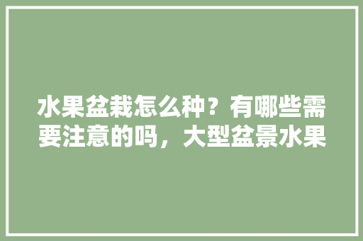 水果盆栽怎么种？有哪些需要注意的吗，大型盆景水果种植技术视频。 水果盆栽怎么种？有哪些需要注意的吗，大型盆景水果种植技术视频。 蔬菜种植