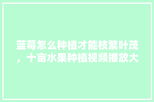 蓝莓怎么种植才能枝繁叶茂，十亩水果种植视频播放大全。 蓝莓怎么种植才能枝繁叶茂，十亩水果种植视频播放大全。 水果种植