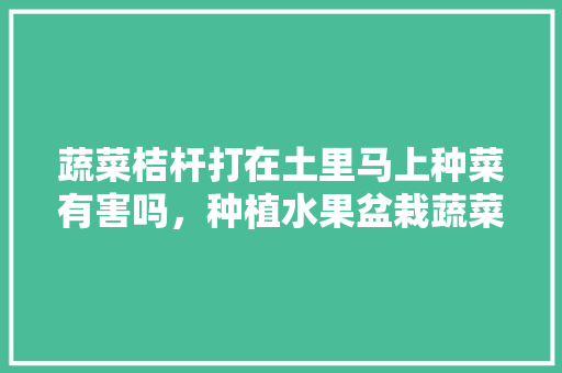 蔬菜桔杆打在土里马上种菜有害吗，种植水果盆栽蔬菜有哪些。 蔬菜桔杆打在土里马上种菜有害吗，种植水果盆栽蔬菜有哪些。 家禽养殖