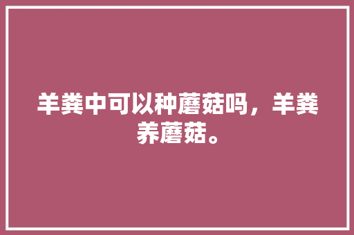 羊粪中可以种蘑菇吗，羊粪养蘑菇。 羊粪中可以种蘑菇吗，羊粪养蘑菇。 蔬菜种植