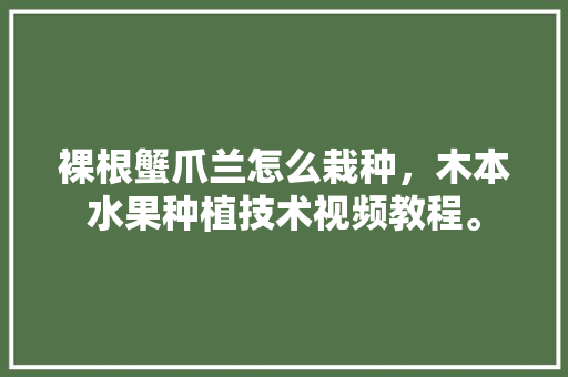 裸根蟹爪兰怎么栽种，木本水果种植技术视频教程。 裸根蟹爪兰怎么栽种，木本水果种植技术视频教程。 土壤施肥