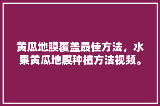 黄瓜地膜覆盖最佳方法，水果黄瓜地膜种植方法视频。 黄瓜地膜覆盖最佳方法，水果黄瓜地膜种植方法视频。 土壤施肥