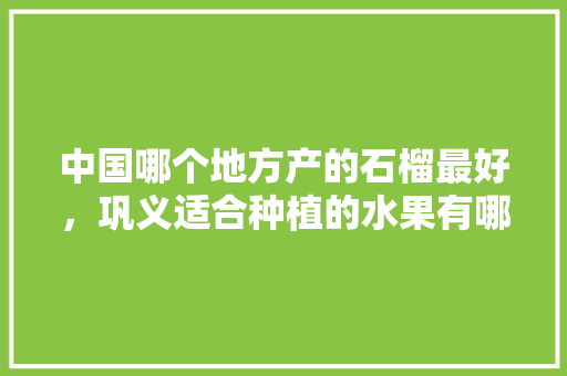 中国哪个地方产的石榴最好，巩义适合种植的水果有哪些。 中国哪个地方产的石榴最好，巩义适合种植的水果有哪些。 家禽养殖