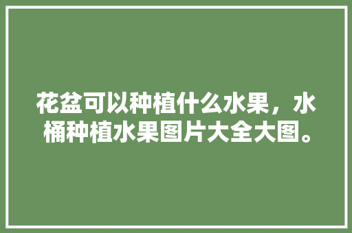 花盆可以种植什么水果，水桶种植水果图片大全大图。 花盆可以种植什么水果，水桶种植水果图片大全大图。 水果种植