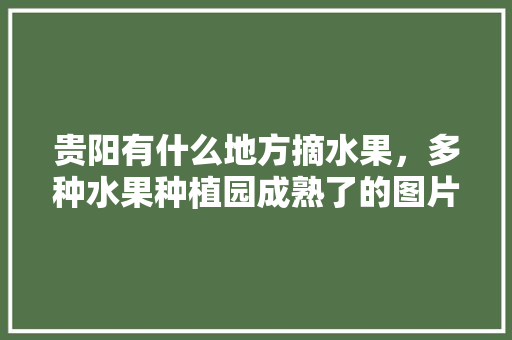 贵阳有什么地方摘水果，多种水果种植园成熟了的图片。 贵阳有什么地方摘水果，多种水果种植园成熟了的图片。 畜牧养殖