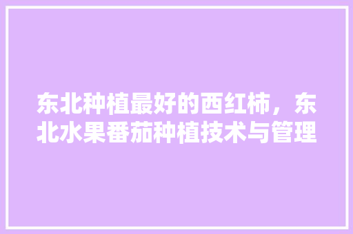 东北种植最好的西红柿，东北水果番茄种植技术与管理。 东北种植最好的西红柿，东北水果番茄种植技术与管理。 家禽养殖