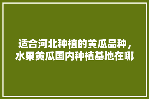 适合河北种植的黄瓜品种，水果黄瓜国内种植基地在哪里。 适合河北种植的黄瓜品种，水果黄瓜国内种植基地在哪里。 畜牧养殖