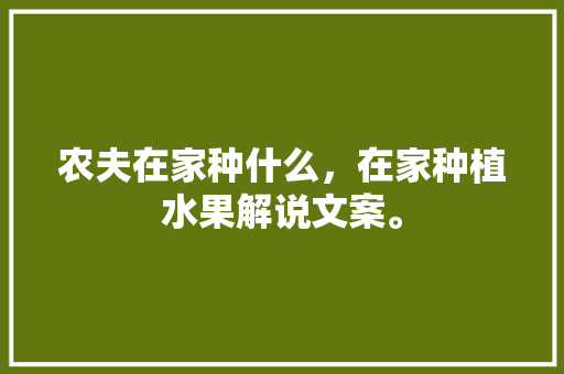 农夫在家种什么，在家种植水果解说文案。 农夫在家种什么，在家种植水果解说文案。 土壤施肥