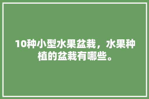 10种小型水果盆栽，水果种植的盆栽有哪些。 10种小型水果盆栽，水果种植的盆栽有哪些。 水果种植