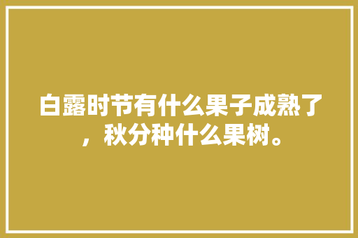 白露时节有什么果子成熟了，秋分种什么果树。 白露时节有什么果子成熟了，秋分种什么果树。 土壤施肥