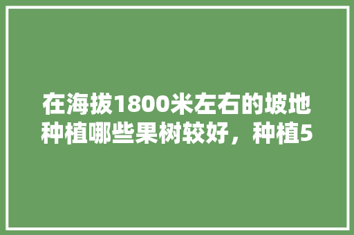 在海拔1800米左右的坡地种植哪些果树较好，种植500棵水果图片大全。 在海拔1800米左右的坡地种植哪些果树较好，种植500棵水果图片大全。 畜牧养殖