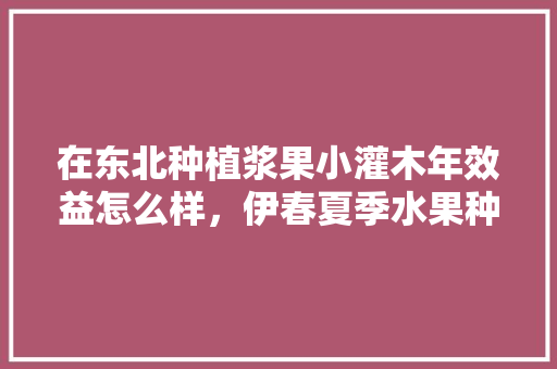 在东北种植浆果小灌木年效益怎么样，伊春夏季水果种植时间。 在东北种植浆果小灌木年效益怎么样，伊春夏季水果种植时间。 蔬菜种植