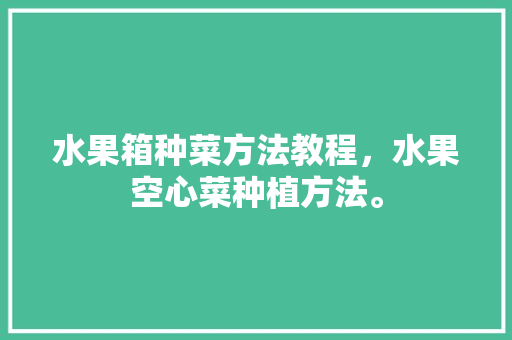 水果箱种菜方法教程，水果空心菜种植方法。 水果箱种菜方法教程，水果空心菜种植方法。 土壤施肥