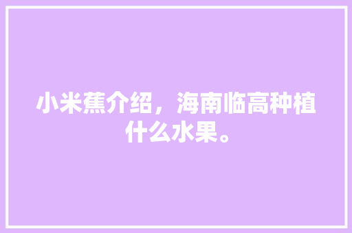 小米蕉介绍，海南临高种植什么水果。 小米蕉介绍，海南临高种植什么水果。 家禽养殖