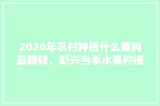 2020年农村种植什么果树最赚钱，新兴当季水果种植时间。 2020年农村种植什么果树最赚钱，新兴当季水果种植时间。 水果种植