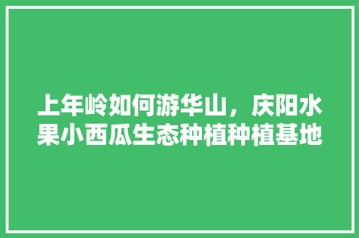 上年岭如何游华山，庆阳水果小西瓜生态种植种植基地。 上年岭如何游华山，庆阳水果小西瓜生态种植种植基地。 水果种植