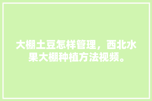 大棚土豆怎样管理，西北水果大棚种植方法视频。 大棚土豆怎样管理，西北水果大棚种植方法视频。 畜牧养殖