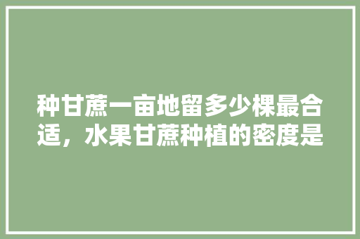 种甘蔗一亩地留多少棵最合适，水果甘蔗种植的密度是多少。 种甘蔗一亩地留多少棵最合适，水果甘蔗种植的密度是多少。 土壤施肥