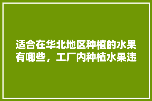 适合在华北地区种植的水果有哪些，工厂内种植水果违法吗。 适合在华北地区种植的水果有哪些，工厂内种植水果违法吗。 土壤施肥