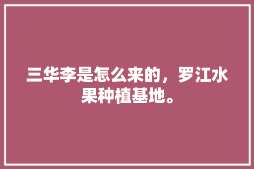 三华李是怎么来的，罗江水果种植基地。 三华李是怎么来的，罗江水果种植基地。 家禽养殖