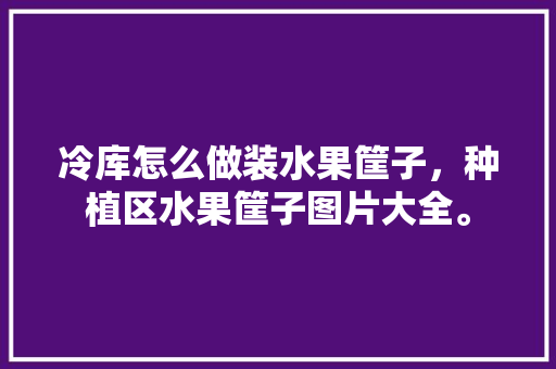 冷库怎么做装水果筐子，种植区水果筐子图片大全。 冷库怎么做装水果筐子，种植区水果筐子图片大全。 蔬菜种植