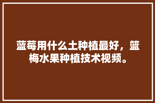 蓝莓用什么土种植最好，篮梅水果种植技术视频。 蓝莓用什么土种植最好，篮梅水果种植技术视频。 水果种植